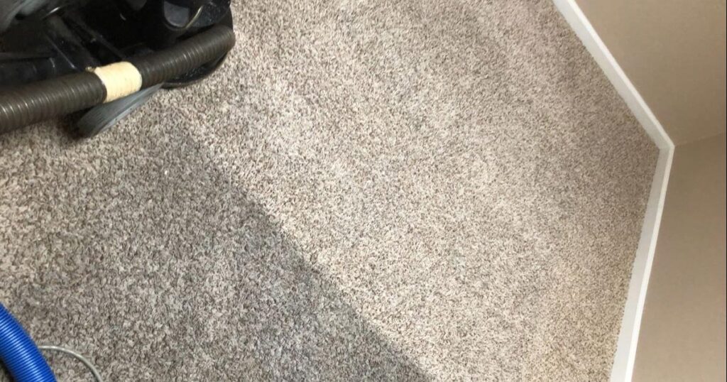 humidity levels that cause carpet mold